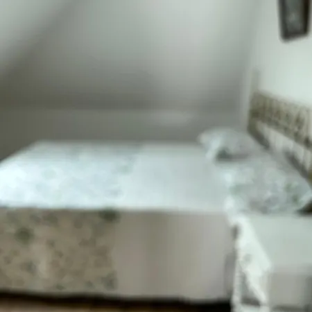 O Cantinho Da Cotovia 2 Valpaços
